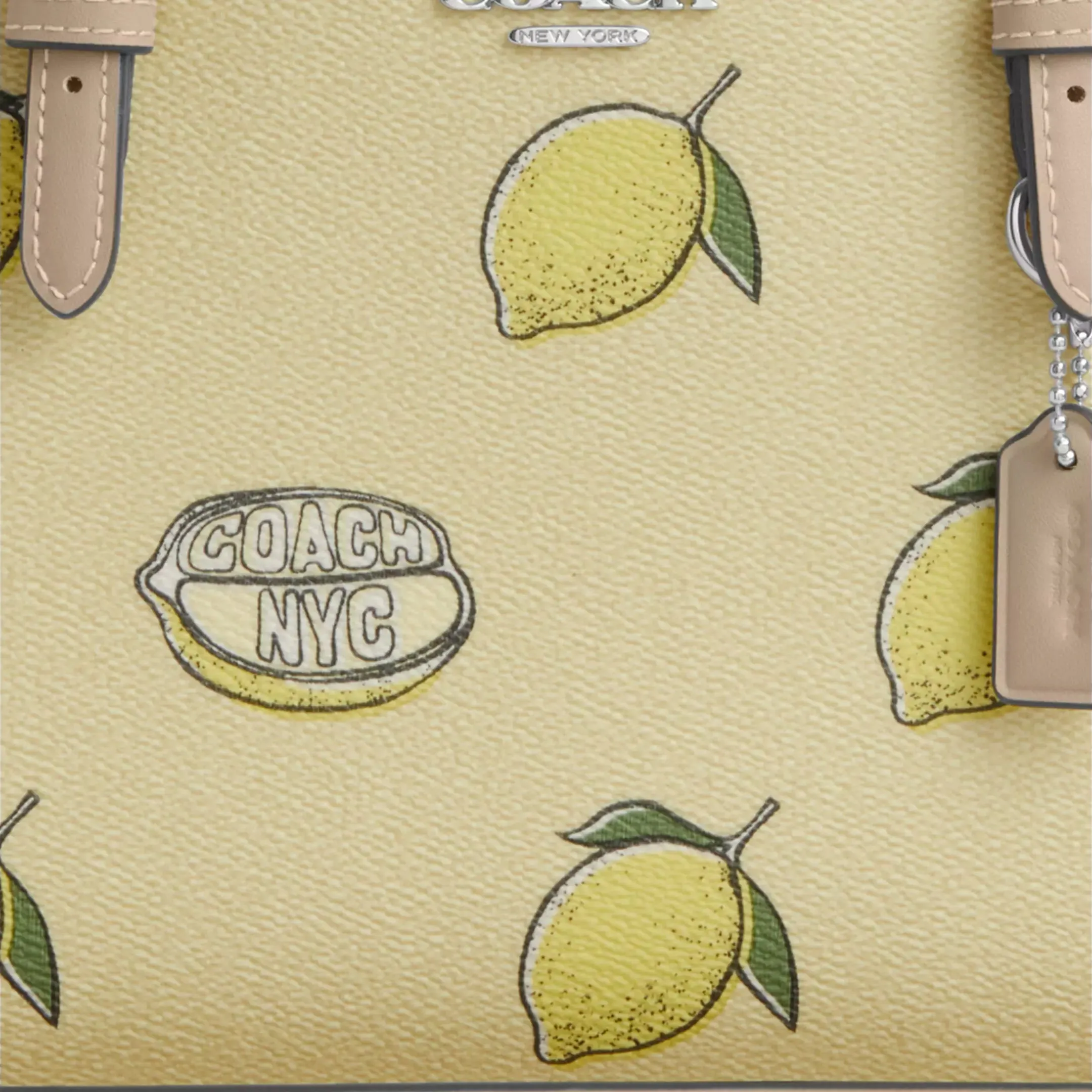 Mollie Tote Bag 25 In Signature Canvas