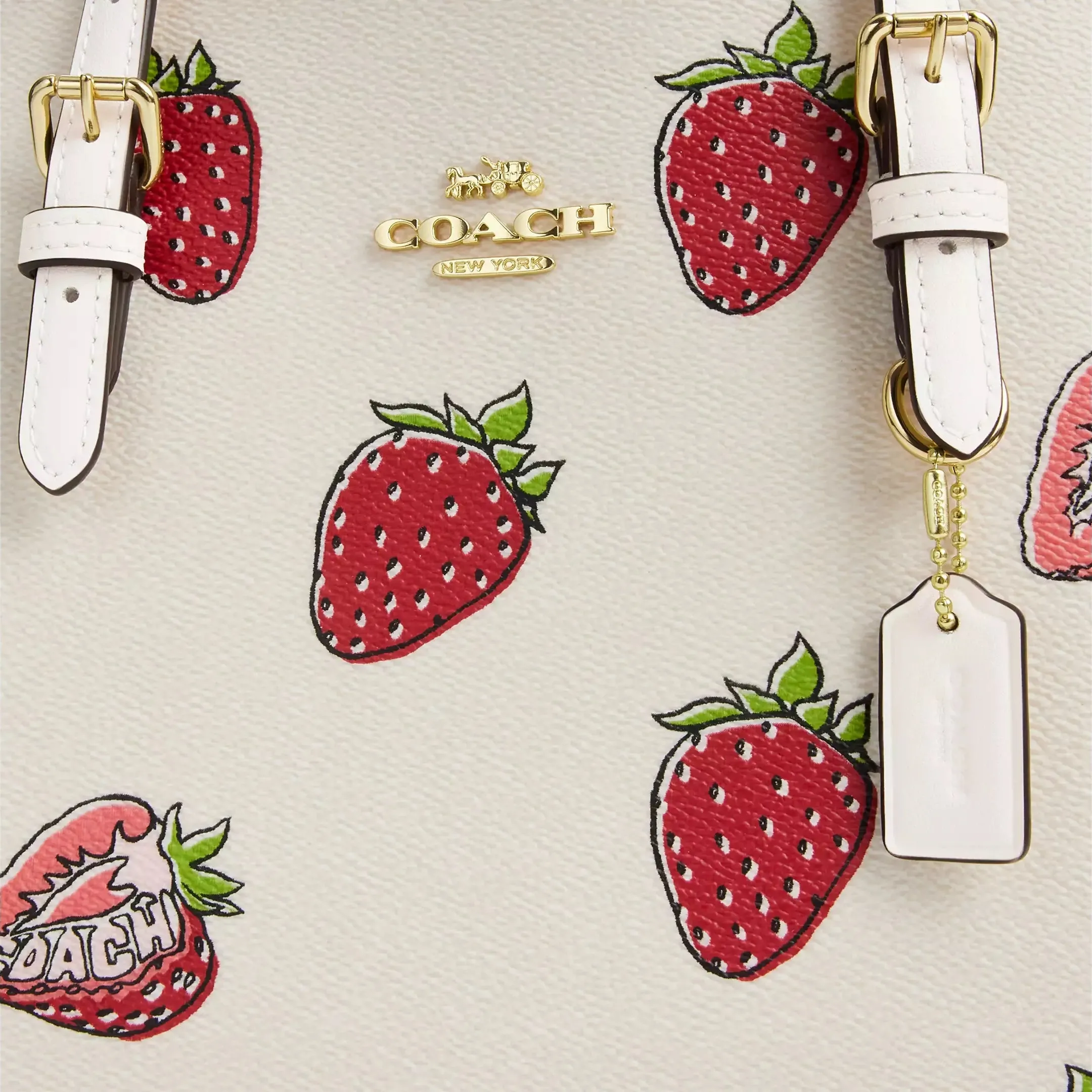 Mollie Tote Bag 25 In Signature Canvas