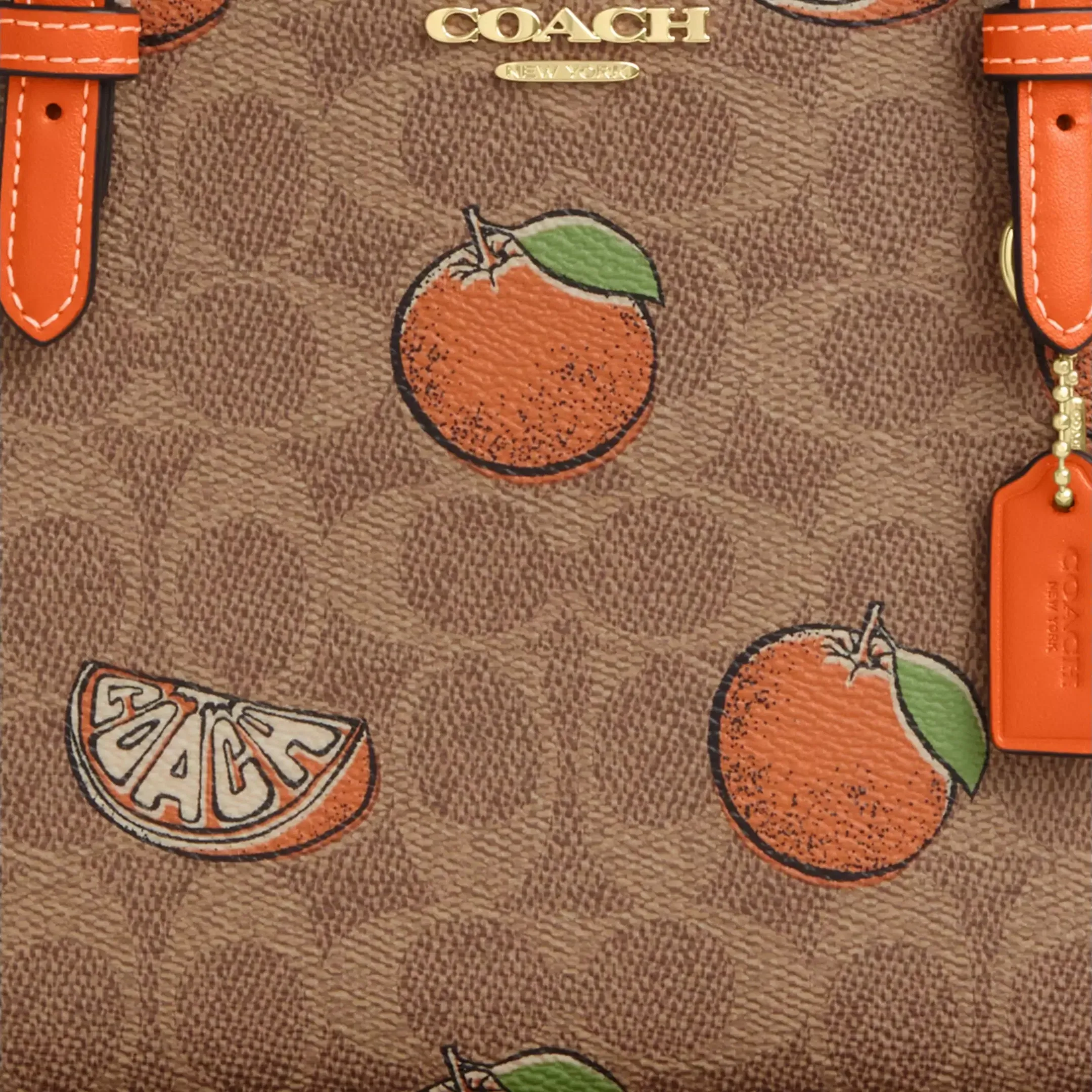Mollie Tote Bag 25 In Signature Canvas