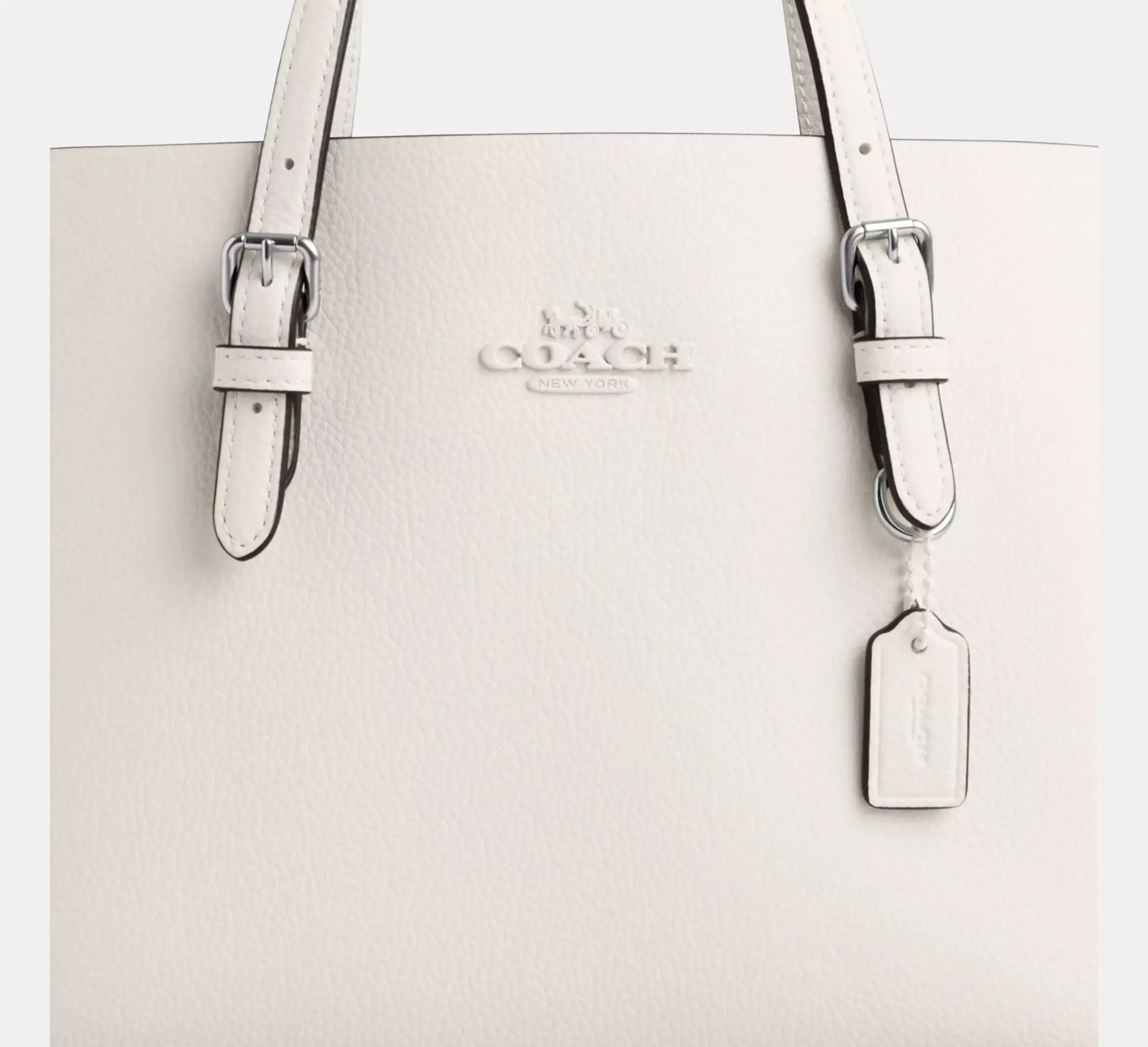 Mollie Tote Bag 25 In Signature Canvas
